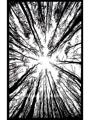 Exclusive Psychedelic Forest Tapestry Cotton Fabric Wall Hanging Hippie Room Decor