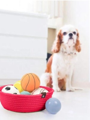 Red Eco Friendly Mini Rope Storage Natural Handwoven Shelf Basket For Your Home & Kitchen - Pack of 3
